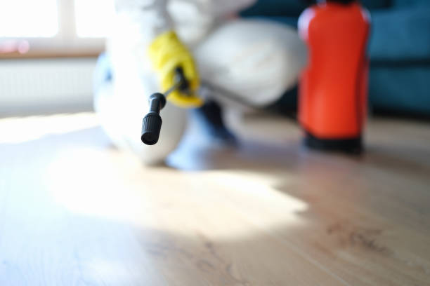 Best Air Quality Testing for Mold Spores  in West Hurley, NY
