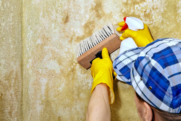 Best Indoor Air Quality Assessment  in West Hurley, NY